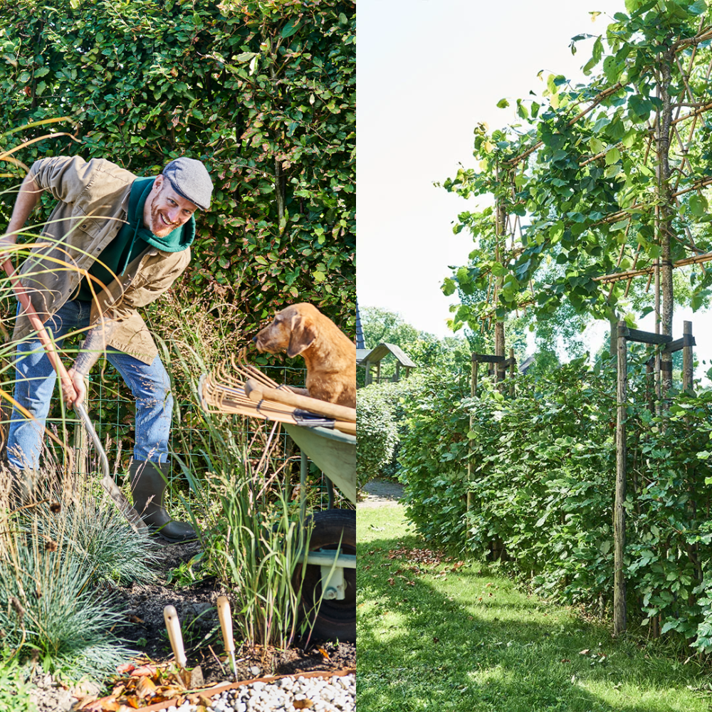 Gartenarbeit im Herbst Gartenarbeit im Herbst
