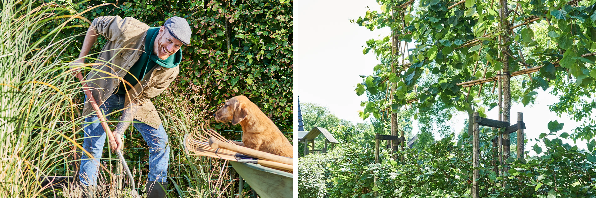 Gartenarbeit im Herbst Gartenarbeit im Herbst