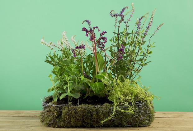 DIY: Wildes Feldgärtchen