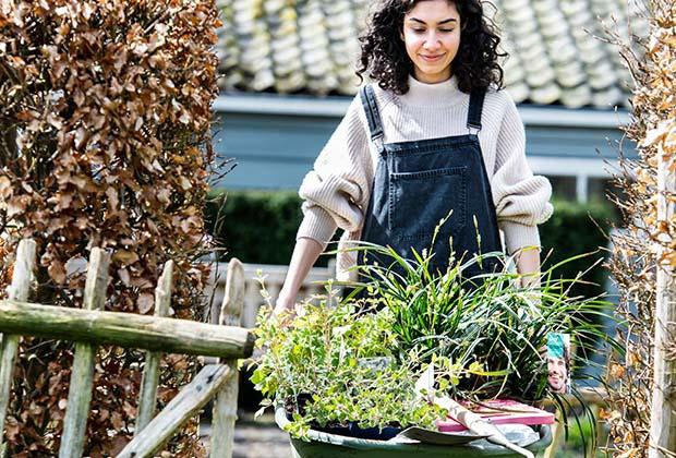 Blog: Gartenkalender April