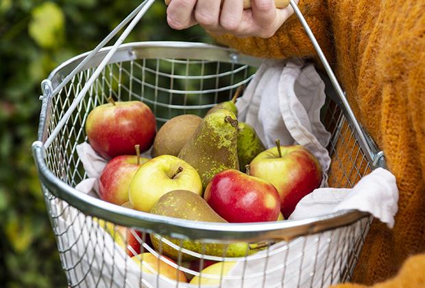 Einen Naschgarten anlegen: Ein Beet mit essbaren Pflanzen