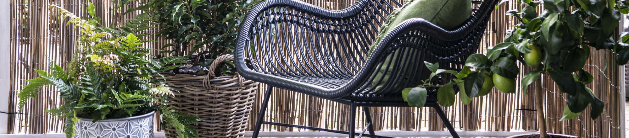 Einen Balkon, eine Dachterrasse oder einen kleinen Garten begrünen