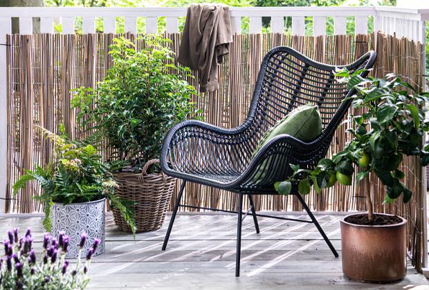 Einen Balkon, eine Dachterrasse oder einen kleinen Garten begrünen