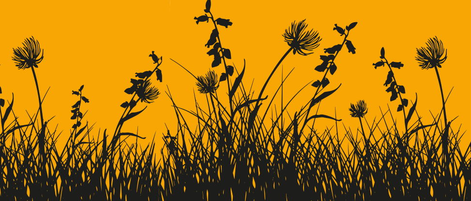 So einfach und schön ist Biodiversität