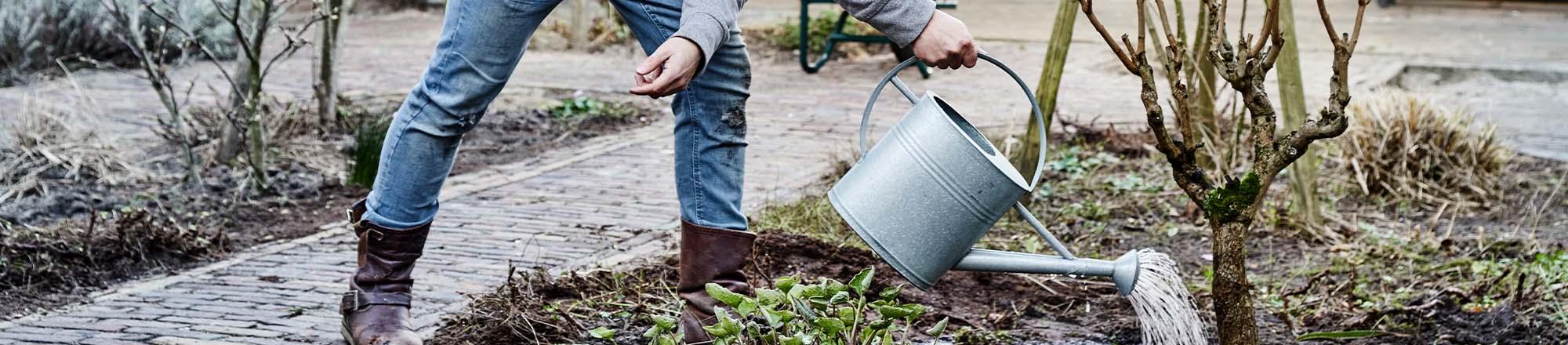 Der Herbst, eine vergessene Gartenzeit