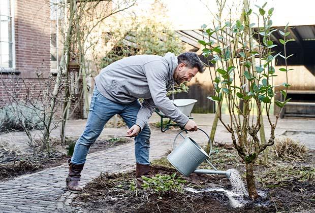 Der Herbst, eine vergessene Gartenzeit