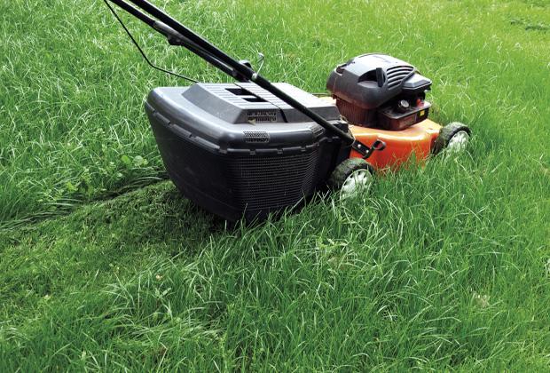 Rollrasen verlegen in 7 Schritten