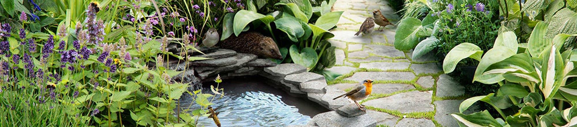 Wie lockst du Tiere in deinen Garten?