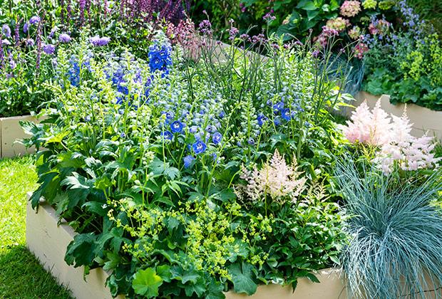 Unkraut im Garten entfernen und bekämpfen