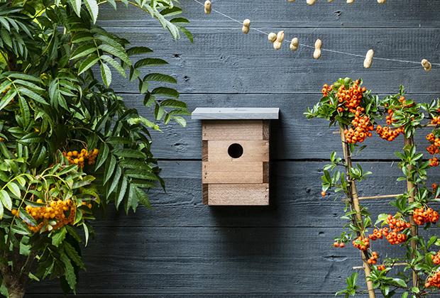 Vogelhäuschen und Nistkasten im Garten