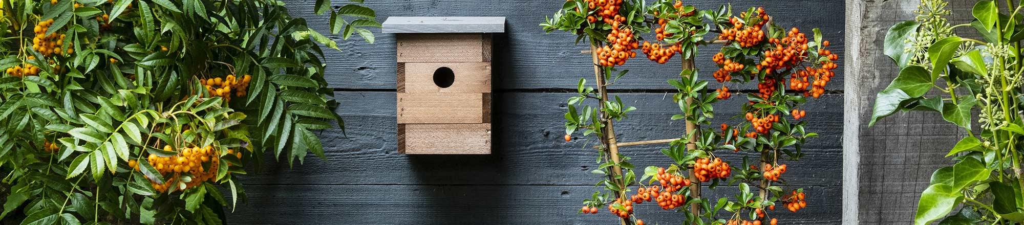 Vogelhäuschen und Nistkasten im Garten