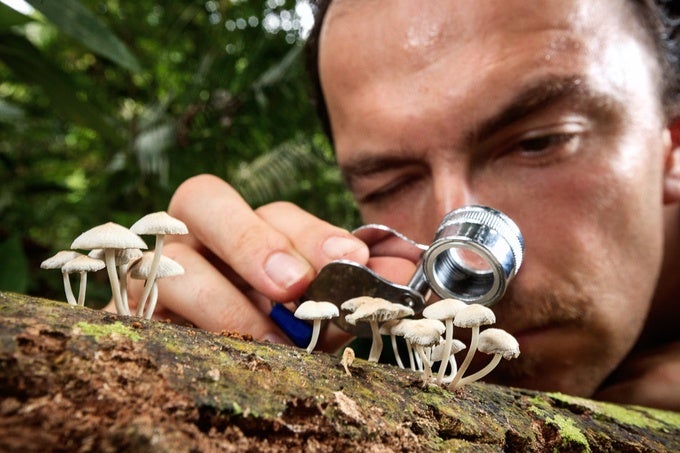 Dr. József Geml (Naturalis Biodiversity Center)