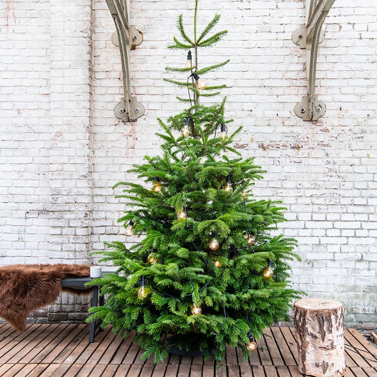 Weihnachtsbaumbeleuchtung für draußen