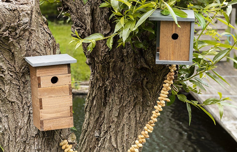 Nistkästen am Baum mit Erdnussgirlande