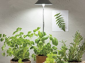 Pflanzenlampen