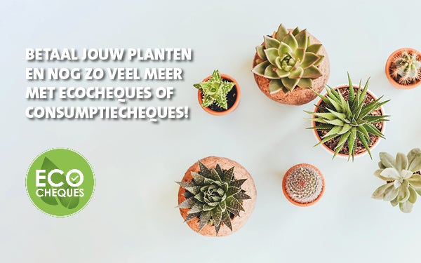 Betaal met consumptiecheques en ecocheques!
