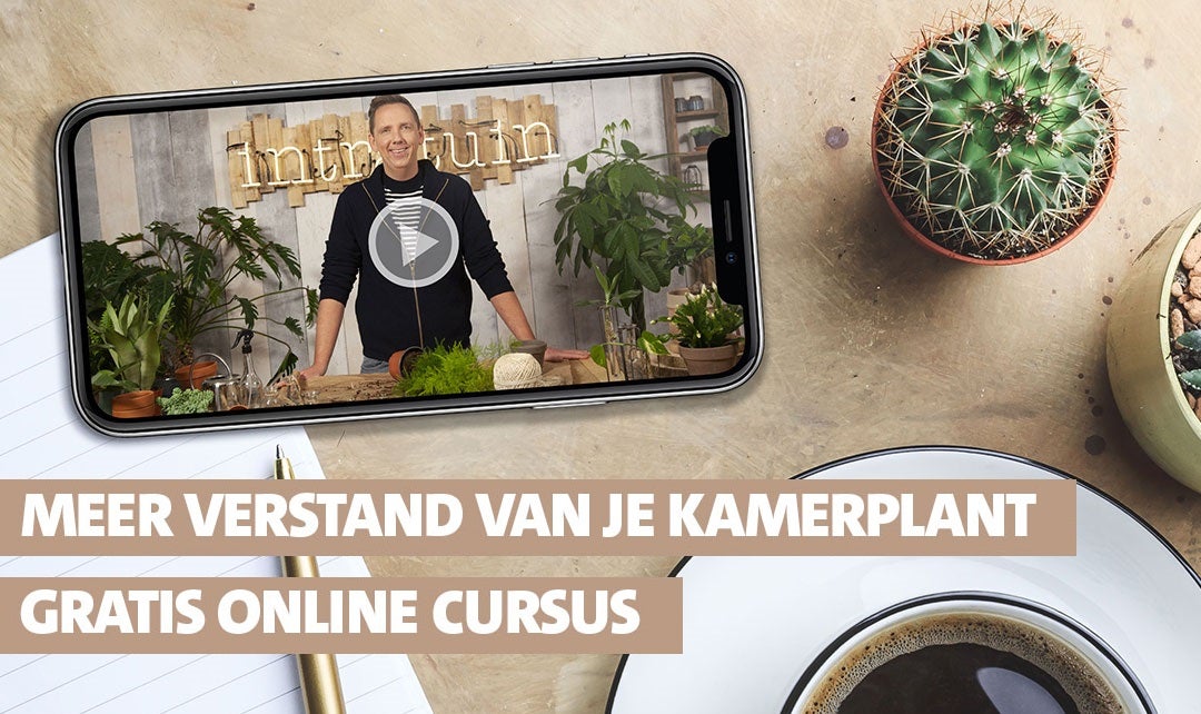 Doe de online plantencursus!