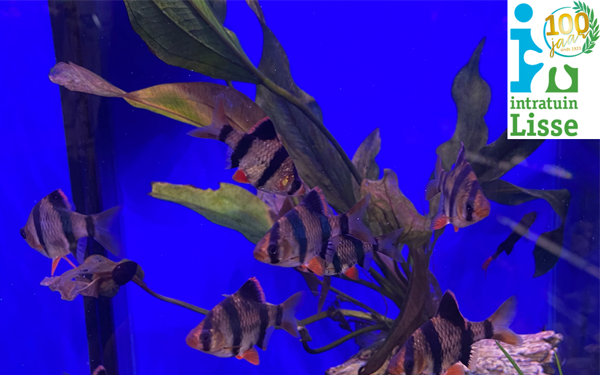 Aquarium speciaalzaak