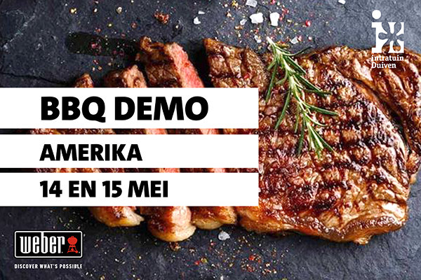 AMERICAN BBQ DEMO