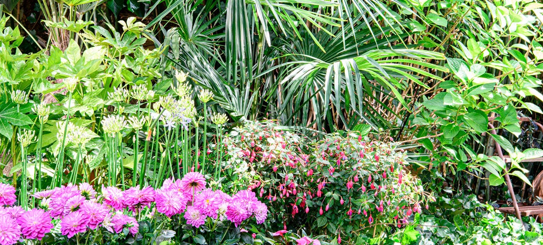 Üppiger und blühender Garten