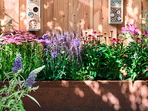 Gartenpflanzen bei Intratuin