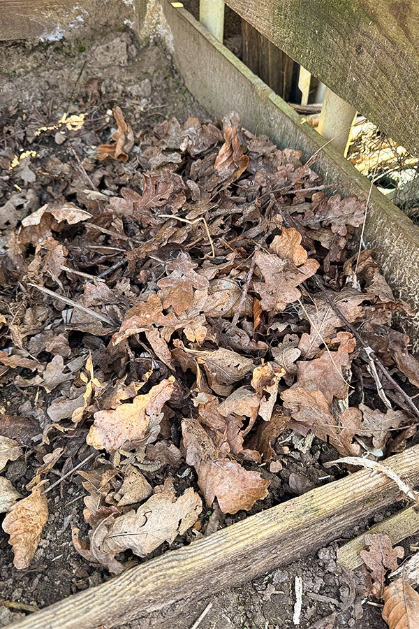 Abgestorbene Blätter und Unkraut als Mulchschicht in deinem Nutzgarten