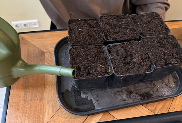 1. Vorbereitung: Fülle einen Blumentopf mit Erde und wässere diese gut.