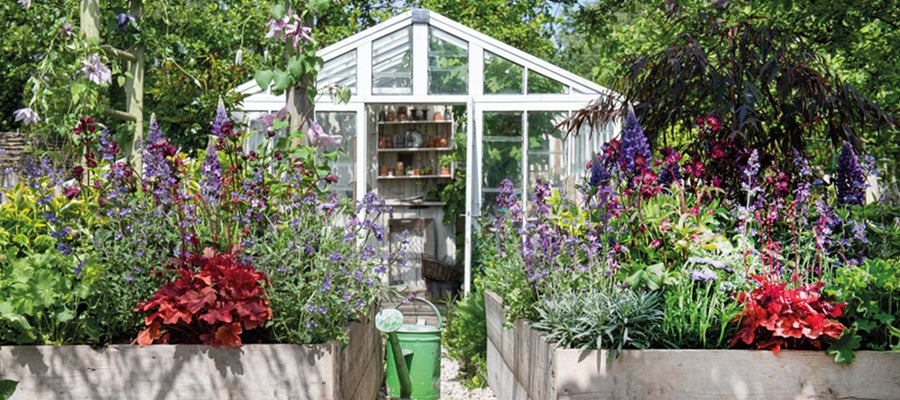 Garten mit Gewächshaus Garten mit Gewächshaus