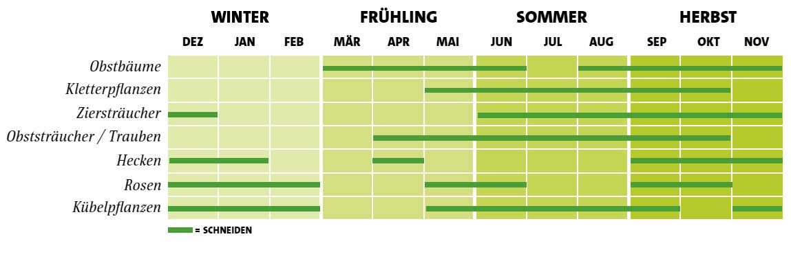 Schnittkalender: Wann du  welche Pflanzen schneiden solltest | Intratuin