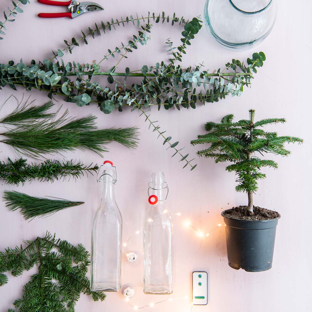 DIY: Weihnachtsgrün im Glas - Was brauchst du dafür?